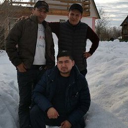 ������, �������������-����������, 44 ����