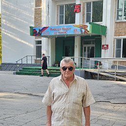 , 61, 