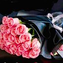 ���� �������, ���� - ��������� 8 ��� 2026 � ������ ������ ��������