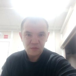 ���������, ����������, 43 ����