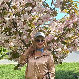 ���� ����� ����������, �����, 75 ��� - ��������� 24 ������ 2025