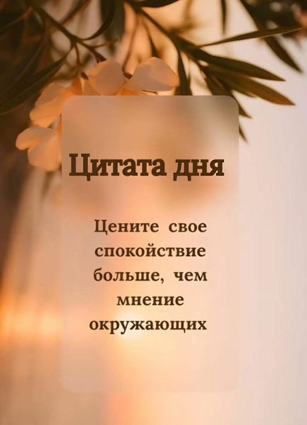 ������������ �� �������... - 24 ������� 2025 � 11:20