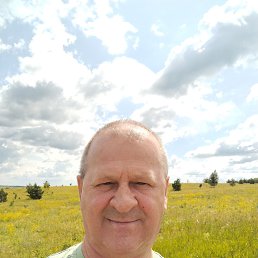 , 61, 