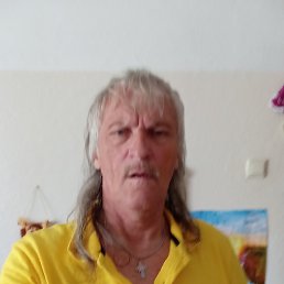 ., 65 , -