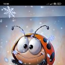 ���� �����, ʸ���, 60 ��� - ��������� 14 ������� 2025