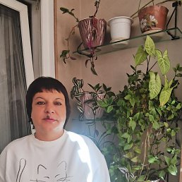 , 49, 