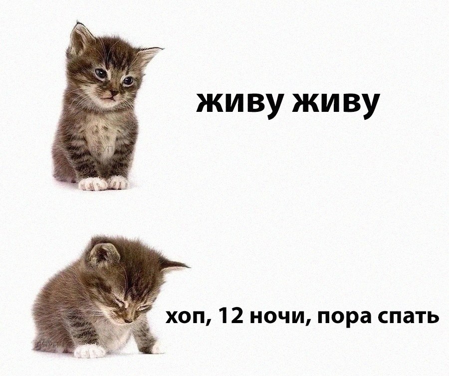 ��� �������� �������� - 16 ������� 2026 � 08:18