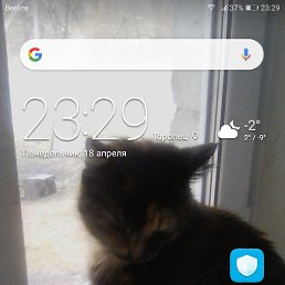 �����, �����, 24 ����