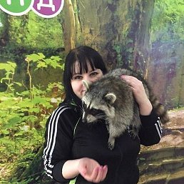 ���, ���������, 36 ���