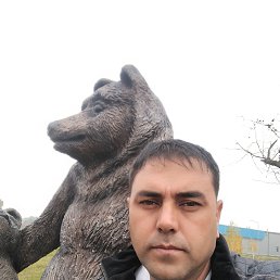 ������, 42 ����, ������