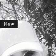 ����������, 40 ���, ������