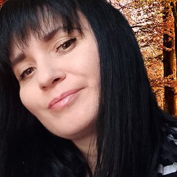 ���������, ���������, 40 ���