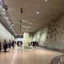 ���� �������, ������, 84 ���� - ��������� 14 ��� 2024 � ������ ���� ����������