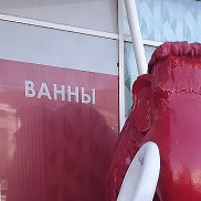 ����, 41 ���, �����������