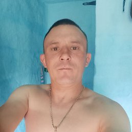 , 30, 