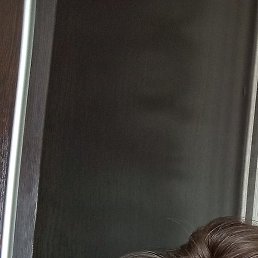 �����, �����-���������, 49 ���