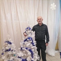 , 66, 