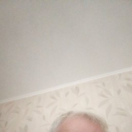, 54, 