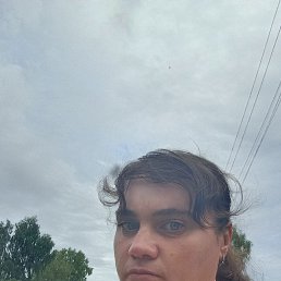 , 41 , 