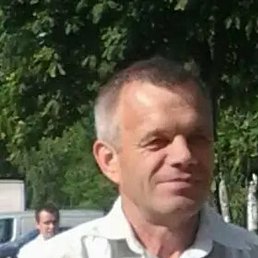 , 61, 