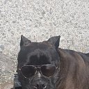 ���� ������, �����, 59 ��� - ��������� 20 ������ 2025 � ������ ������ ��������