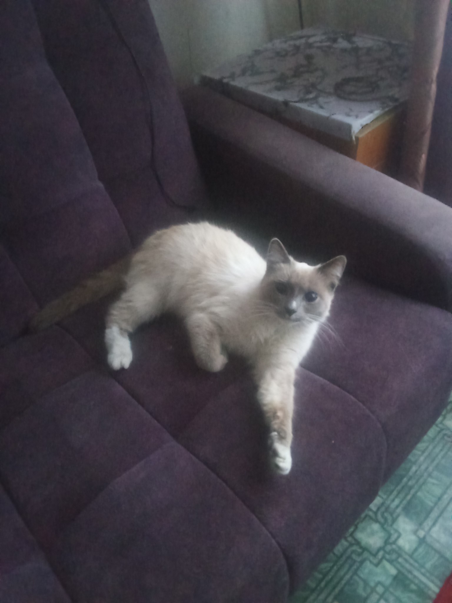 Kharis Dyukin - 8  2025  05:10