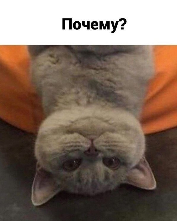 ��� ���� � ����� �� �� - 24 ����� 2026 � 13:00 - 3