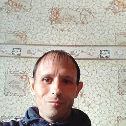 , 38, 