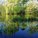 ���� �������, �����, 69 ��� - ��������� 28 ��� 2025 � ������ �������� �� ����� ����������������
