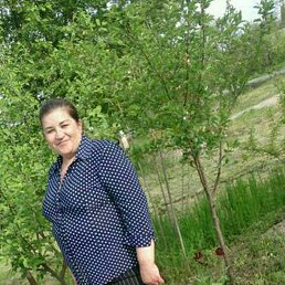  , 46, 