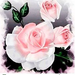 �������, ���������, 58 ���