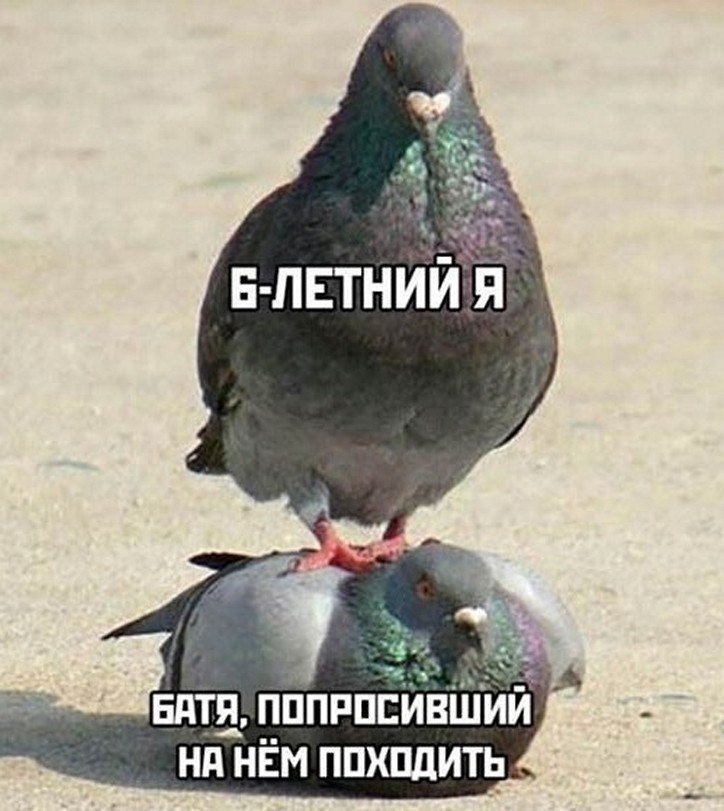 ? ,  ! - 25  2025  16:51
