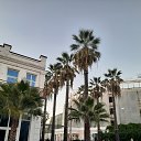 ���� ��, ������-��-���� - ��������� 10 ������� 2024 � ������ �������� ������� 24�