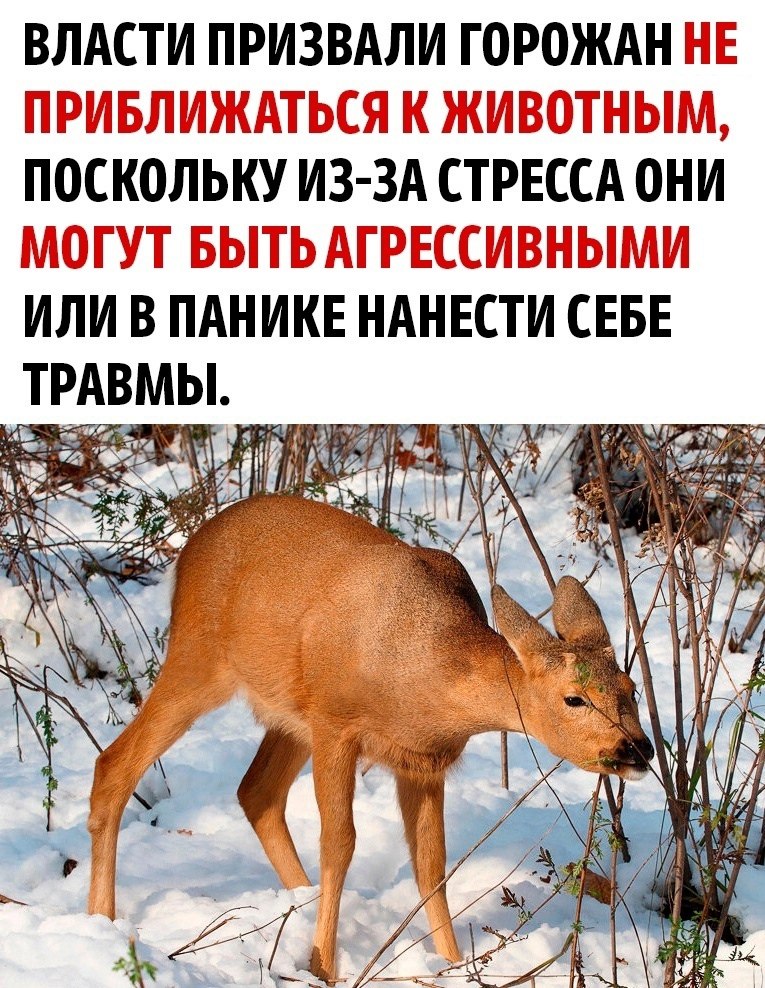      - 2