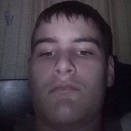 Bob, �����, 37 ���