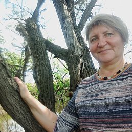 , 59, 