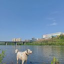  , , 50  -  4  2025    )