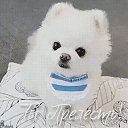 ���� ����, �����������, 47 ��� - ��������� 27 ������� 2023 � ������ ���� ����������