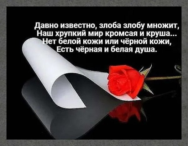 ☆������ �������☆ - 5 ���� 2025 � 04:23