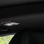 David, 38 ���, ������