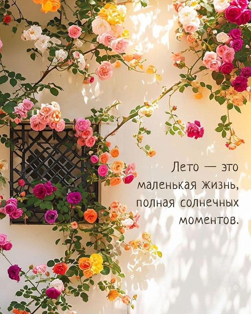   - 6  2025  16:56