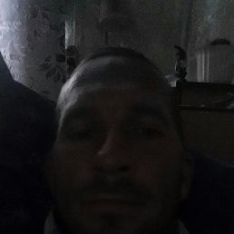 , 33, 