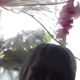 ������� ��������, ������, 66 ���