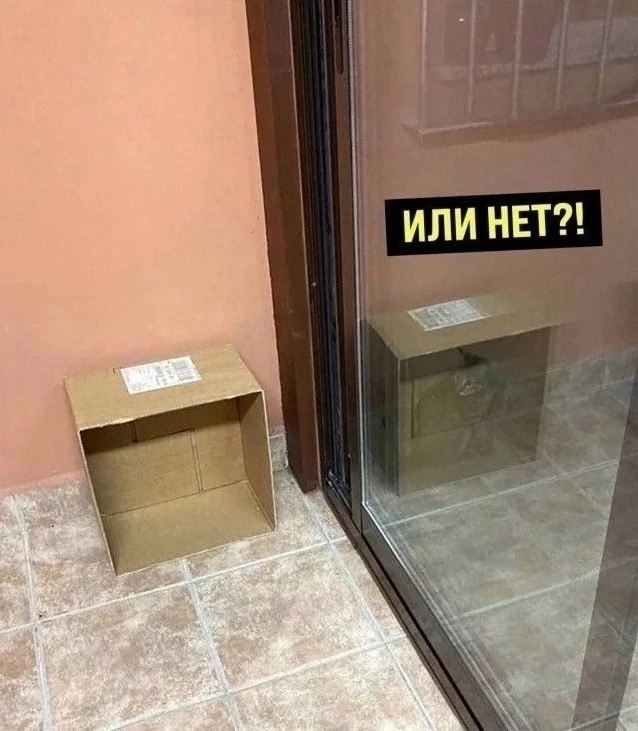       - 7  2025  21:52 - 3