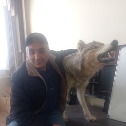 , 49 , 