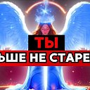 ���� Magda, ������ - ��������� 1 ��� 2025 � ������ ������ ��������