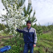 Ким, 38 лет, Тюмень Ким, 38 лет, Тюмень
