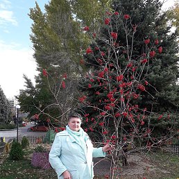 �����, ��������, 63 ����