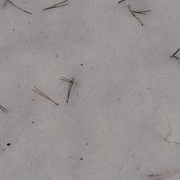 ���� ���������� ���������, ������, 38 ��� - ��������� 5 ������ 2026