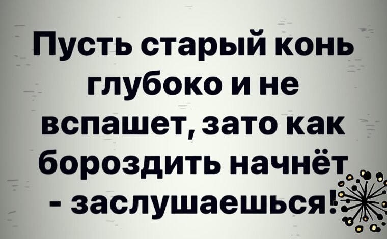   ! - 17  2025  16:31